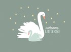 geboorte zoon zwaan welcome little one